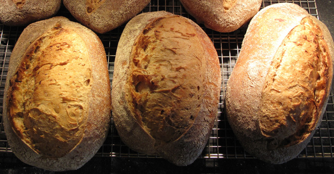 Image 7 Breads
