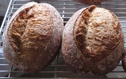 Breads