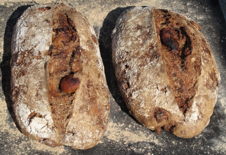 Our Breads