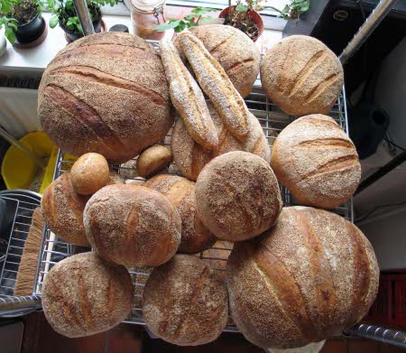 Contact Image Our Breads